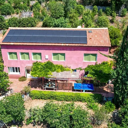 Exceptional Provencal