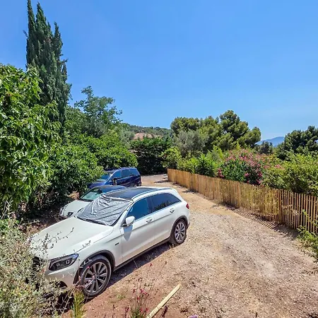 Exceptional Provencal * 土伦