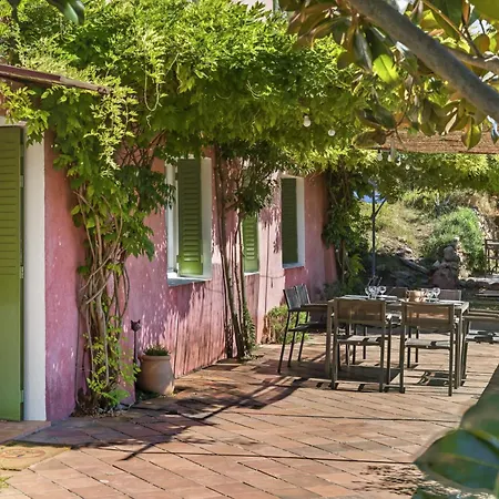 Exceptional Provencal * 土伦